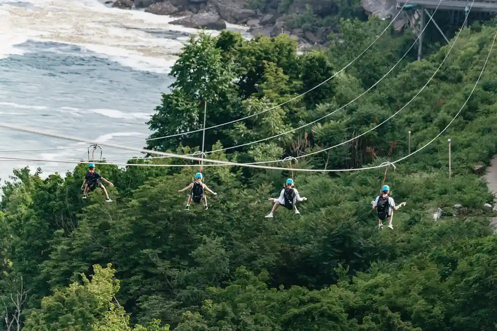 Riders on the lines above the trees of the gorge